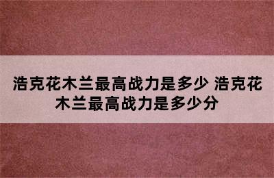 浩克花木兰最高战力是多少 浩克花木兰最高战力是多少分